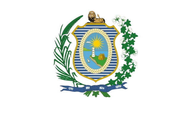 Logo alto contraste